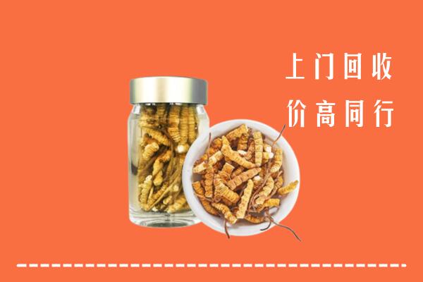 金平回收冬虫夏草
